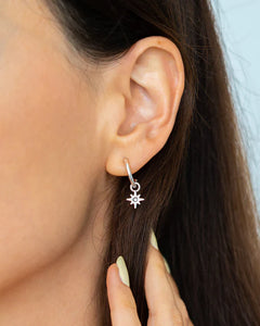 Splendid Earrings