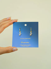 Load image into Gallery viewer, Splendid Earrings