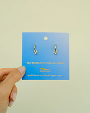 Load image into Gallery viewer, Splendid Earrings